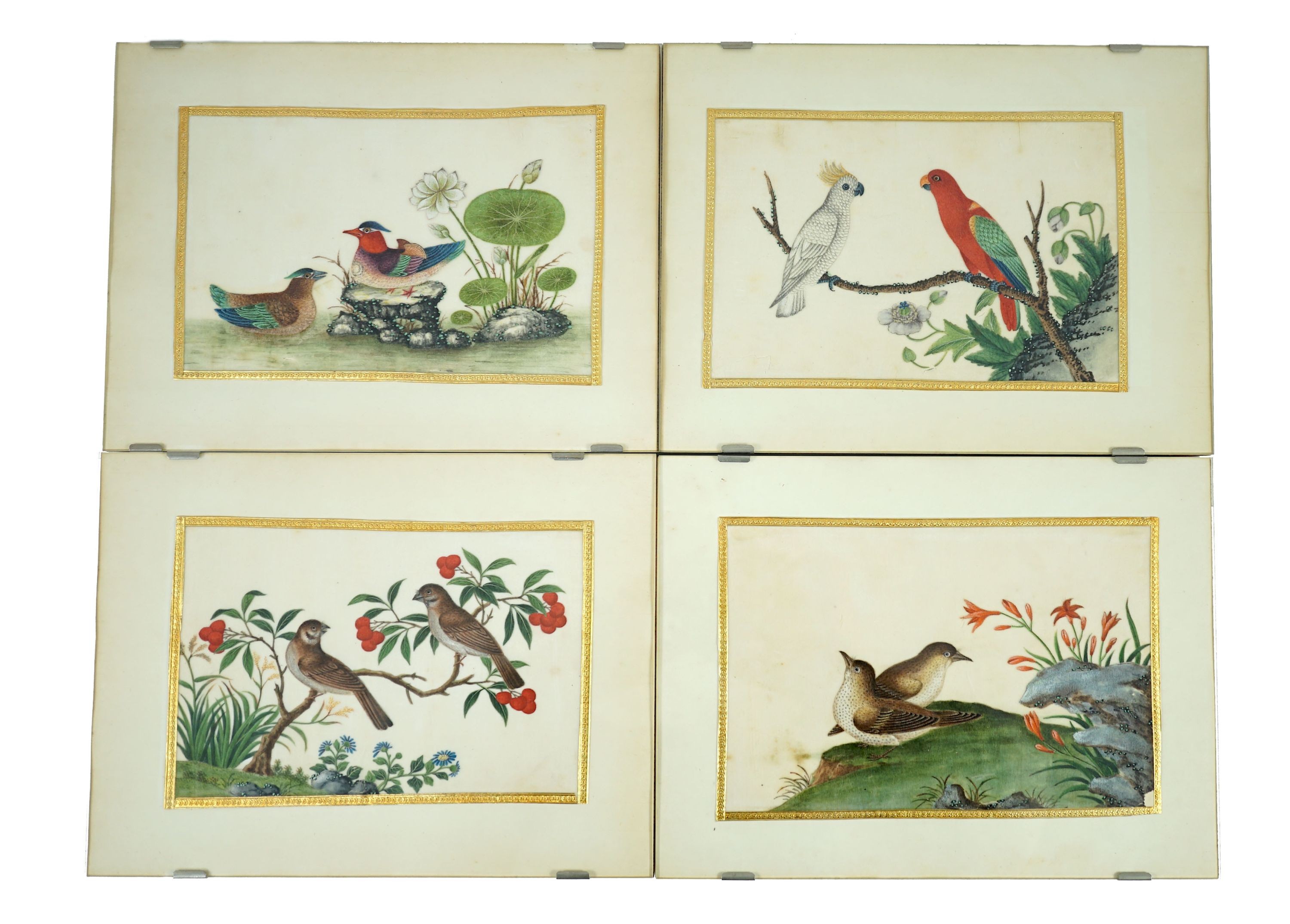 A set of 16 Chinese pith paintings of birds and flowers, mid 19th century, Largest Image 12cm x 18cm